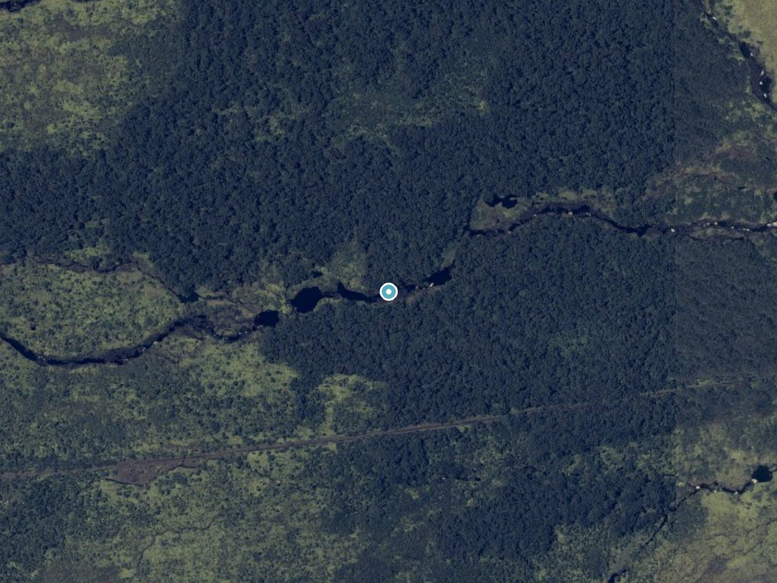 Aerial view of the ground around Koakanini Falls near Hilo, Hawaii
