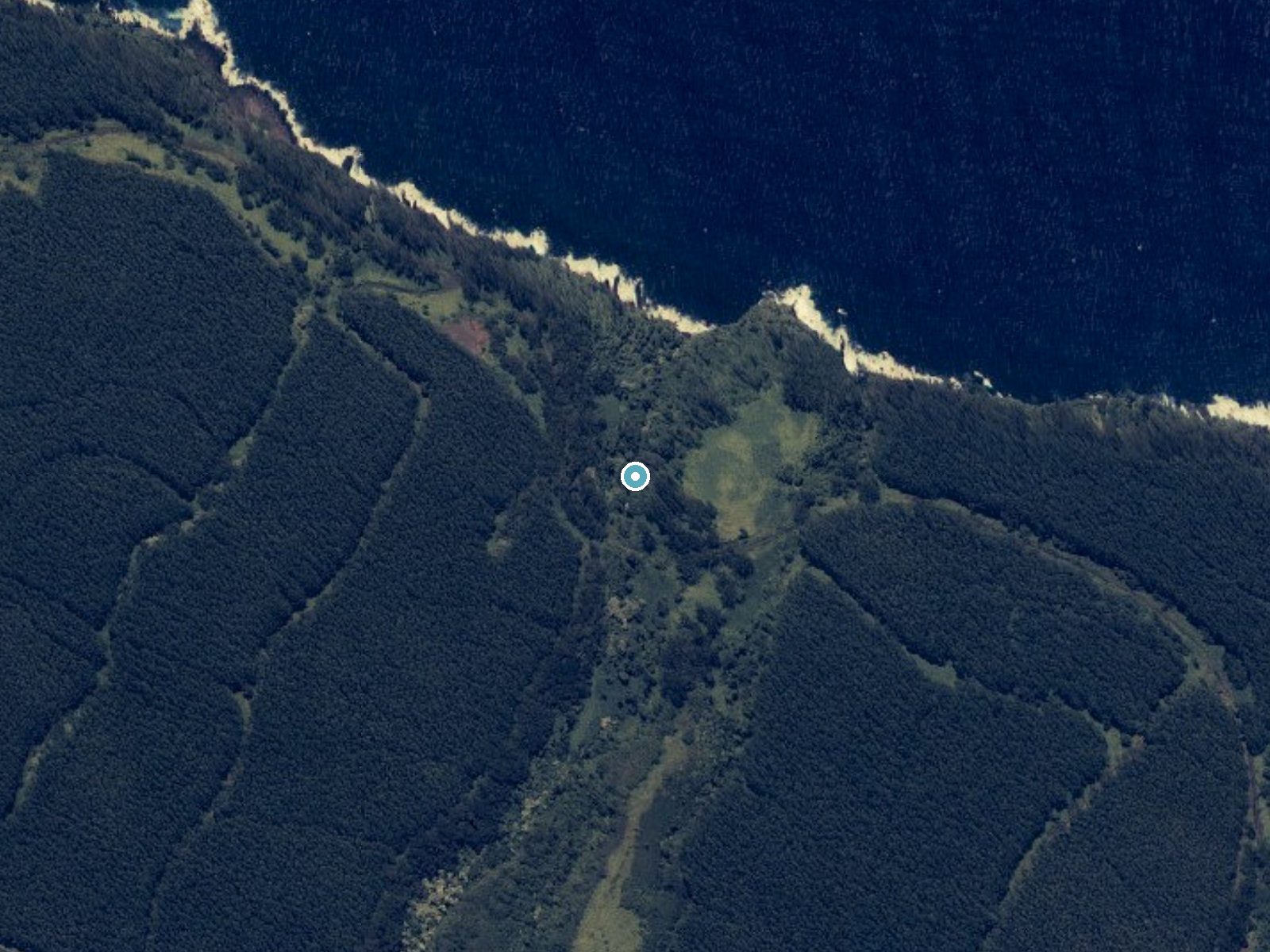 Aerial photo of the same ground around Hikiau Falls near Paauilo, Hawaii, for comparison with the lidar view