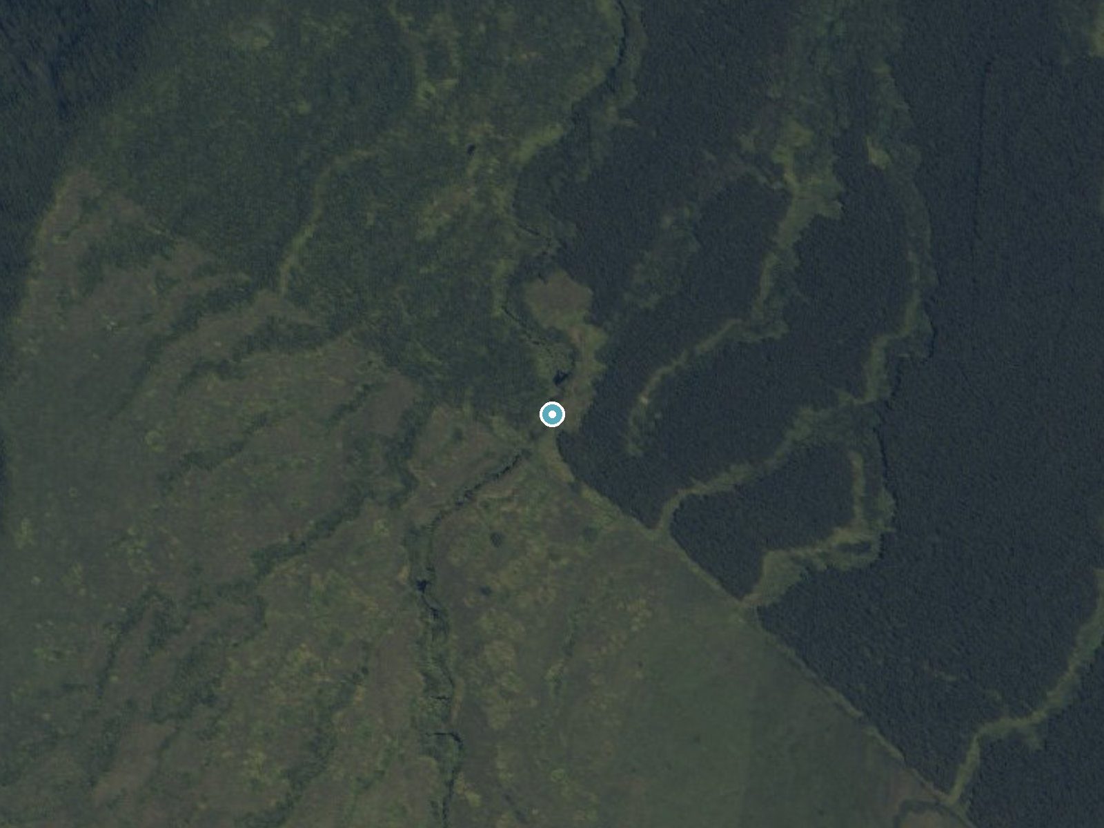 Aerial photo of the same ground around Waiholoa Falls near Kukuihaele, Hawaii, for comparison with the lidar view
