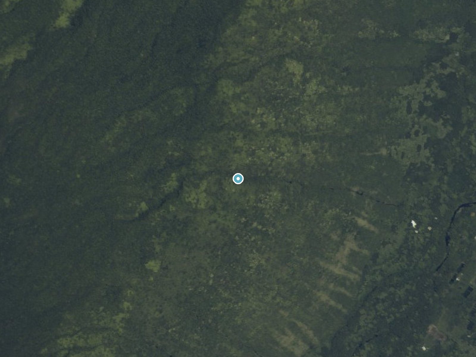 Aerial photo of the same ground around Papala Falls near Kukuihaele, Hawaii, for comparison with the lidar view