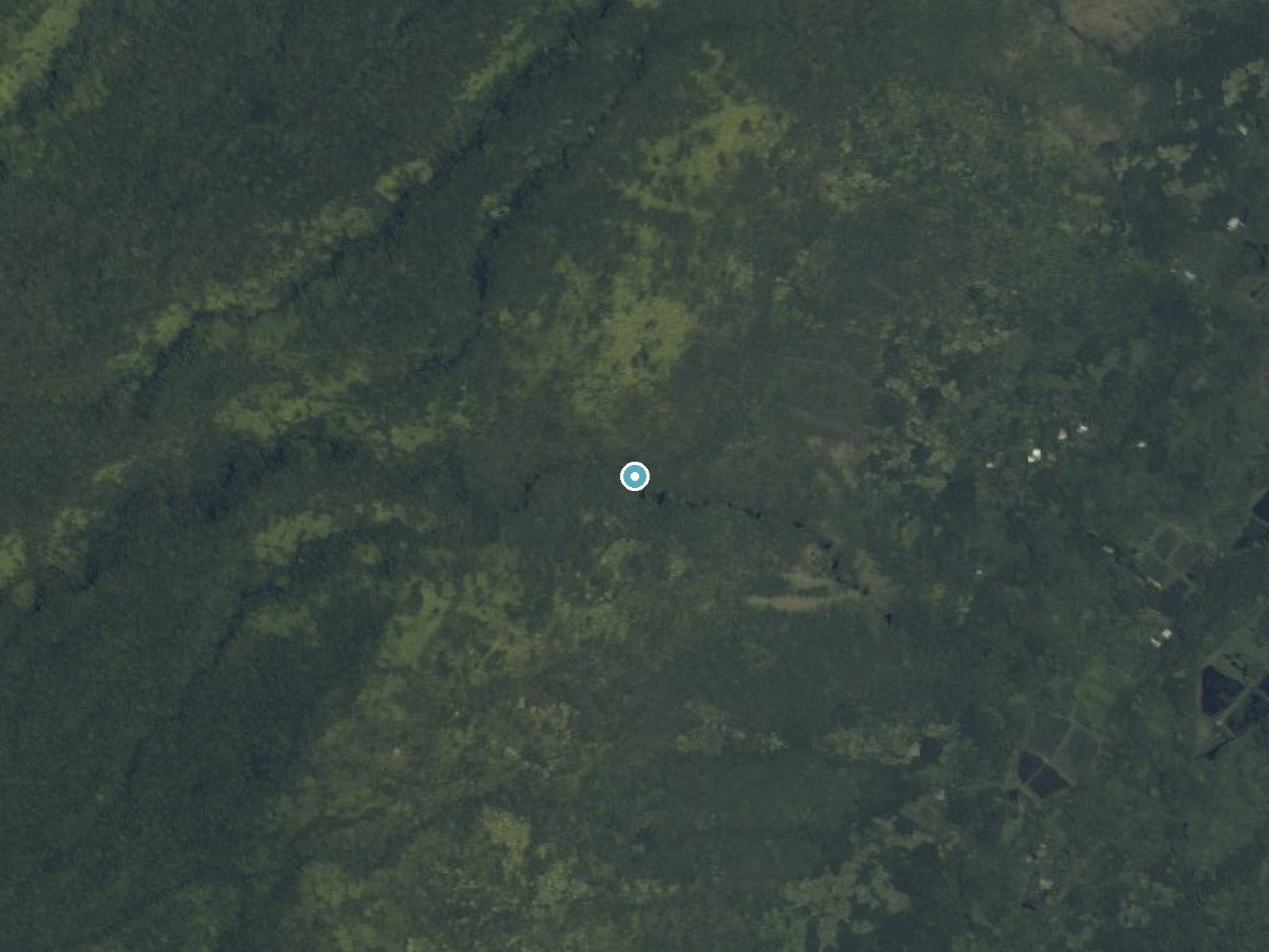 Aerial photo of the same ground around Nanaue Falls near Kukuihaele, Hawaii, for comparison with the lidar view