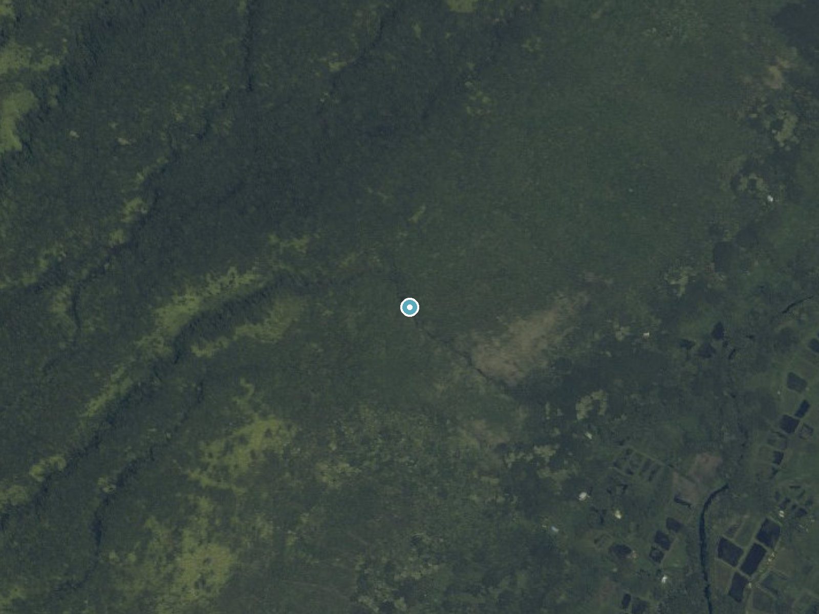Aerial photo of the same ground around Naalapa Falls near Kukuihaele, Hawaii, for comparison with the lidar view
