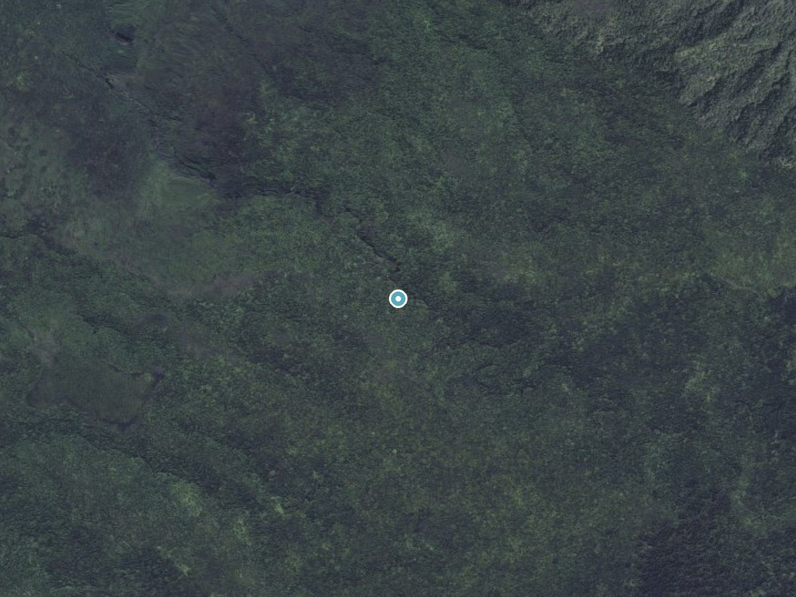 Aerial photo of the same ground around Waimanu Falls near Kualapuu, Hawaii, for comparison with the lidar view