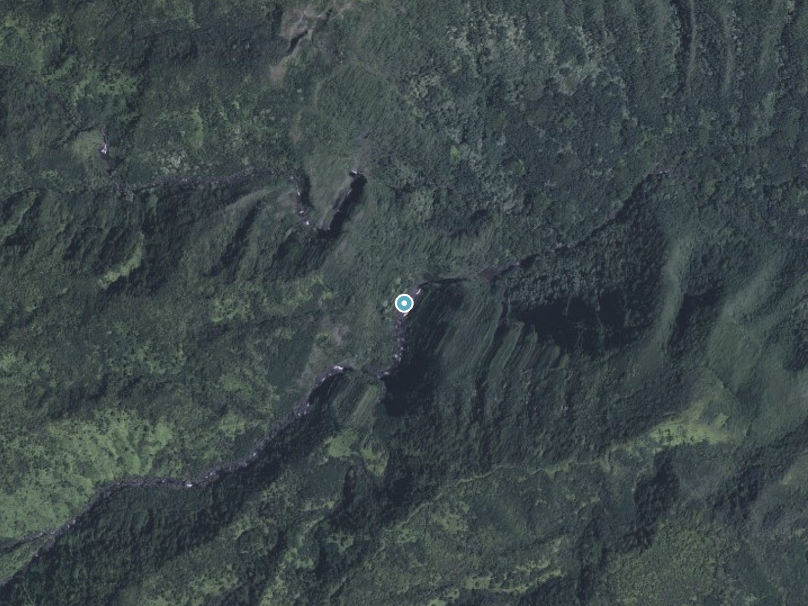 Aerial photo of the same ground around Moaʻula near Ualapue, Hawaii, for comparison with the lidar view