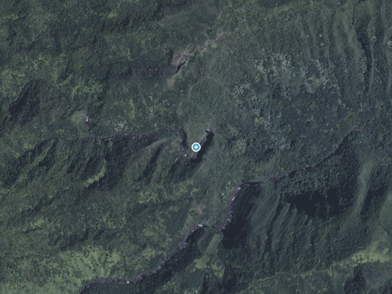 Aerial photo of the same ground around Hīpuapua Falls near Ualapue, Hawaii, for comparison with the lidar view
