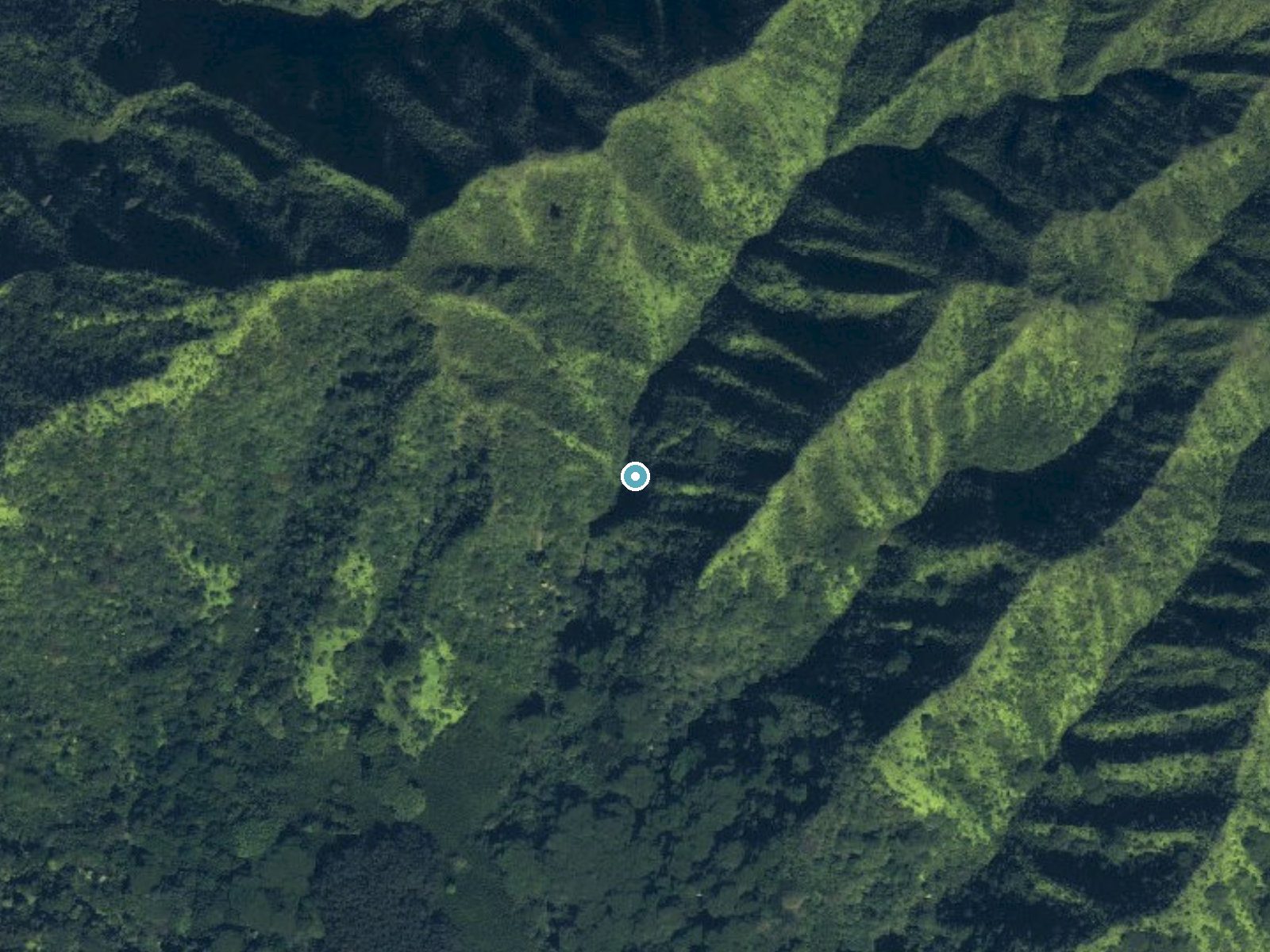 Aerial photo of the same ground around Mānoa Falls near Maunawili, Hawaii, for comparison with the lidar view