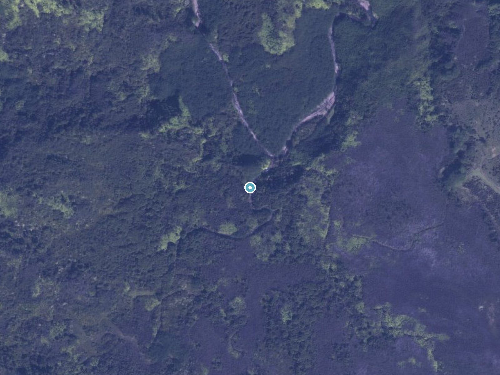 Aerial photo of the same ground around Hāliʻi Falls near Puhi, Hawaii, for comparison with the lidar view
