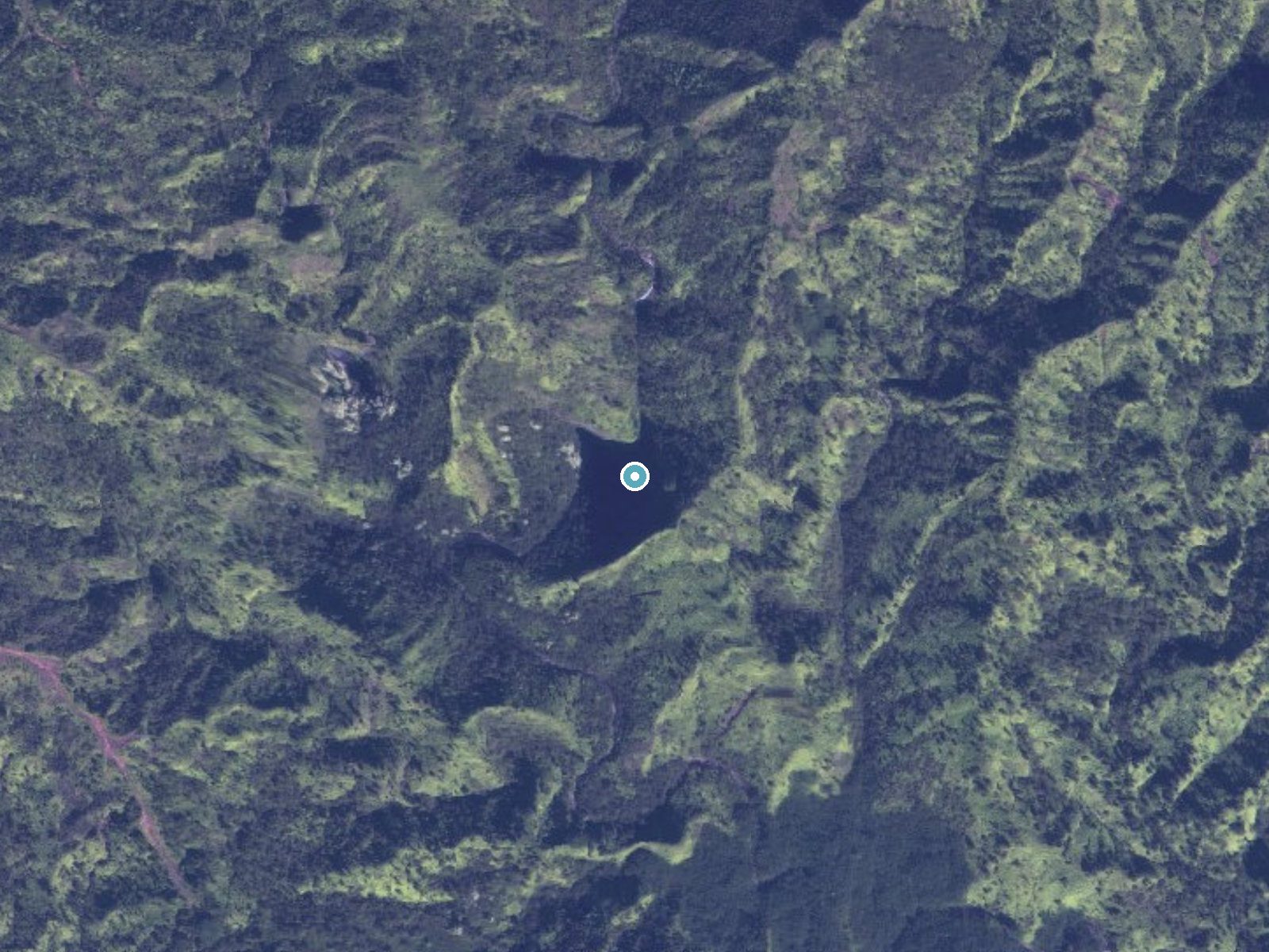 Aerial view of the ground around Kapakaiki Falls near Kapaa, Hawaii