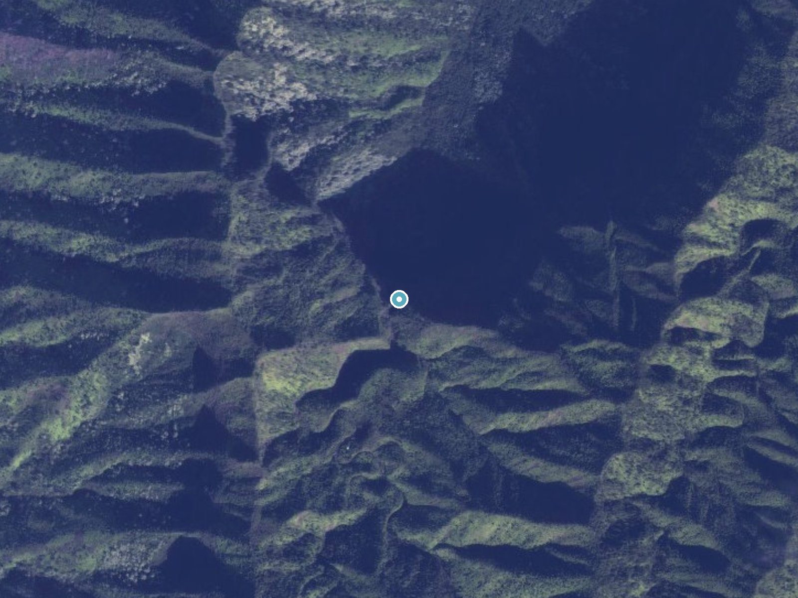 Aerial photo of the same ground around Limahuli Falls near Wainiha, Hawaii, for comparison with the lidar view