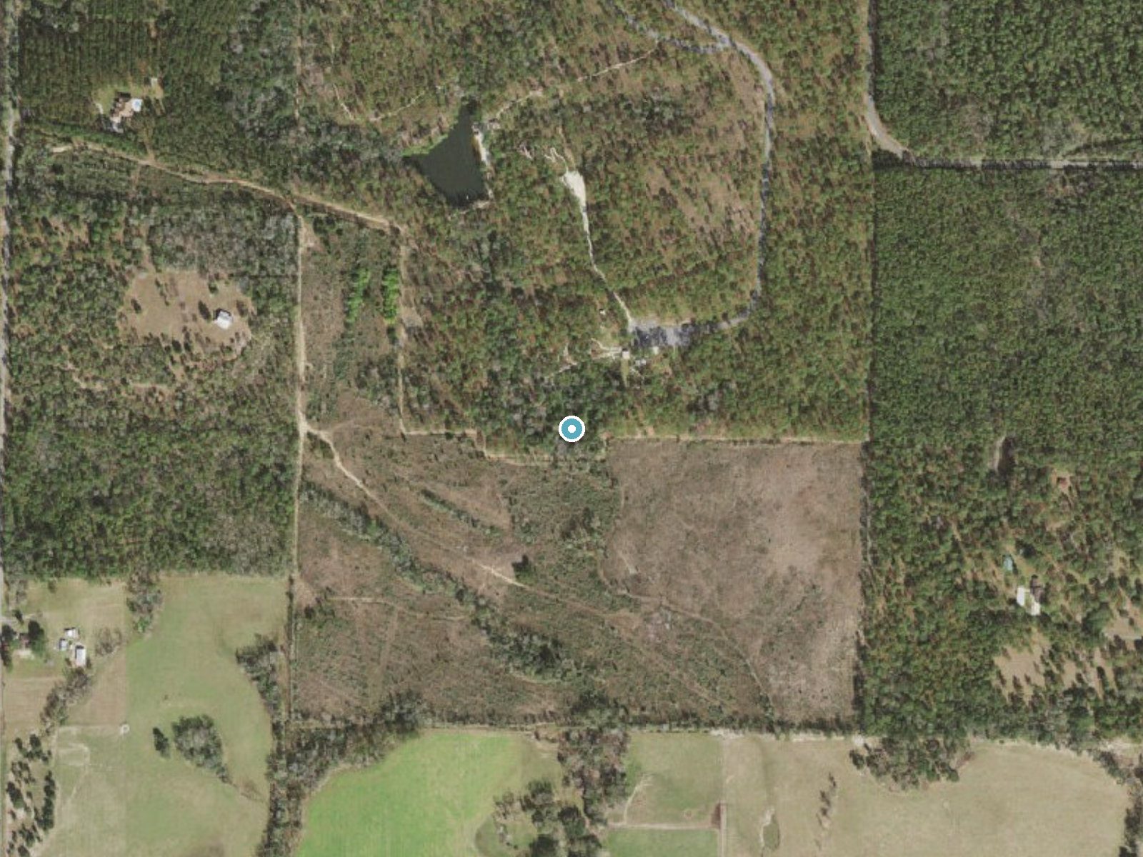 Aerial photo of the same ground around Falling Water near Chipley, Florida, for comparison with the lidar view