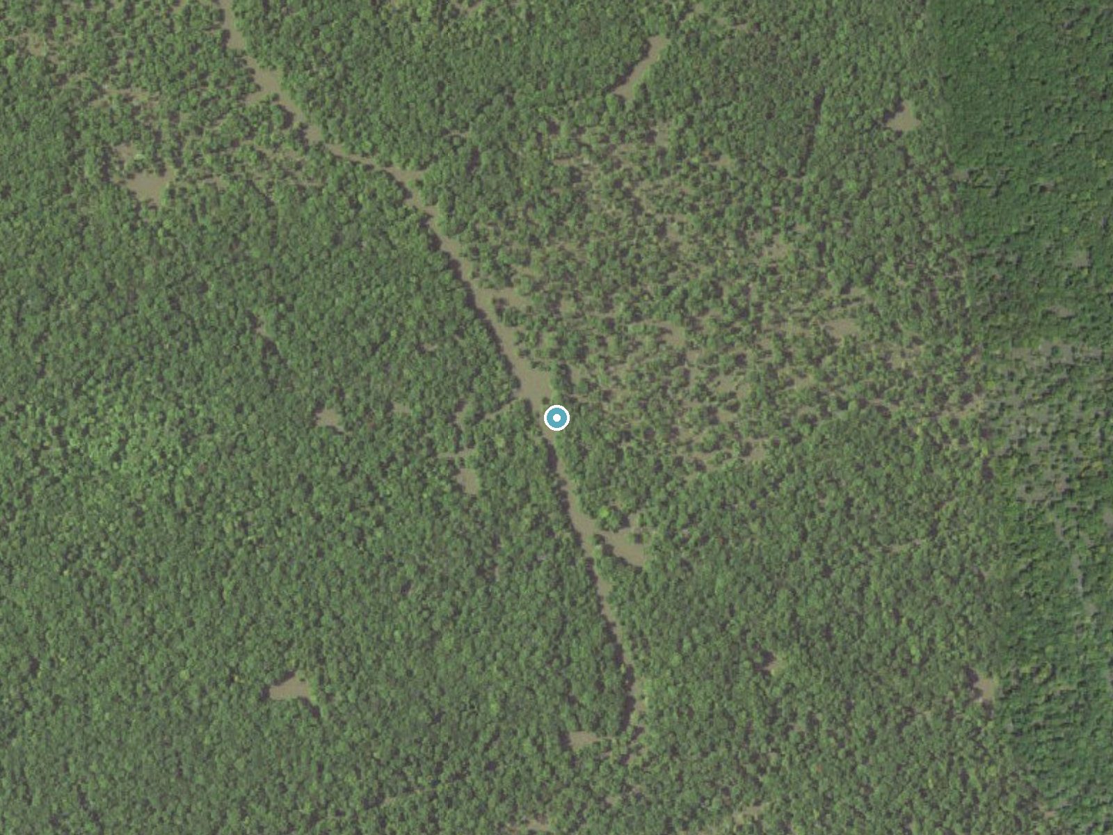 Aerial photo of the same ground around Woodriff Falls near St. Francisville, Louisiana, for comparison with the lidar view