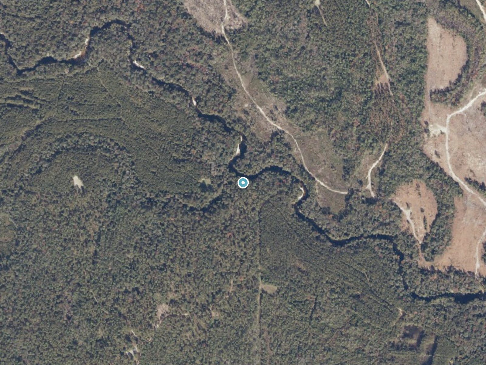 Aerial photo of the same ground around Cedar Creek Falls near Movico, Alabama, for comparison with the lidar view