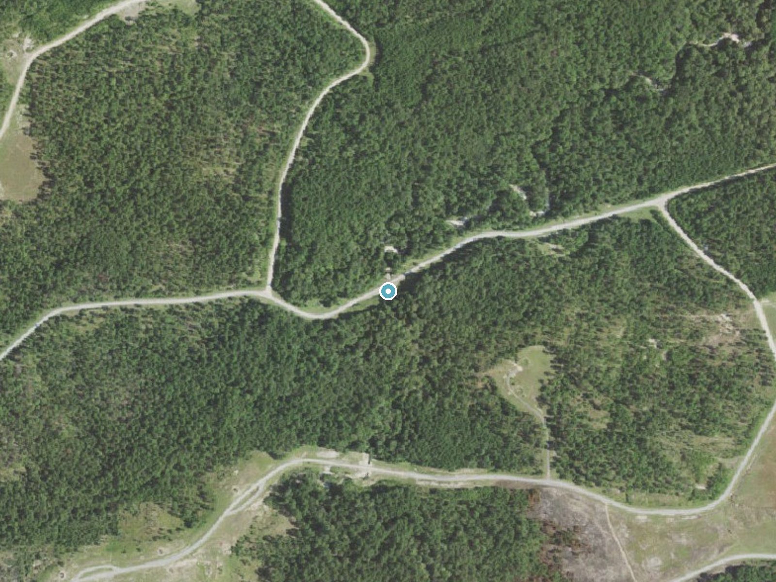 Aerial photo of the same ground around Odum Falls near Hornbeck, Louisiana, for comparison with the lidar view