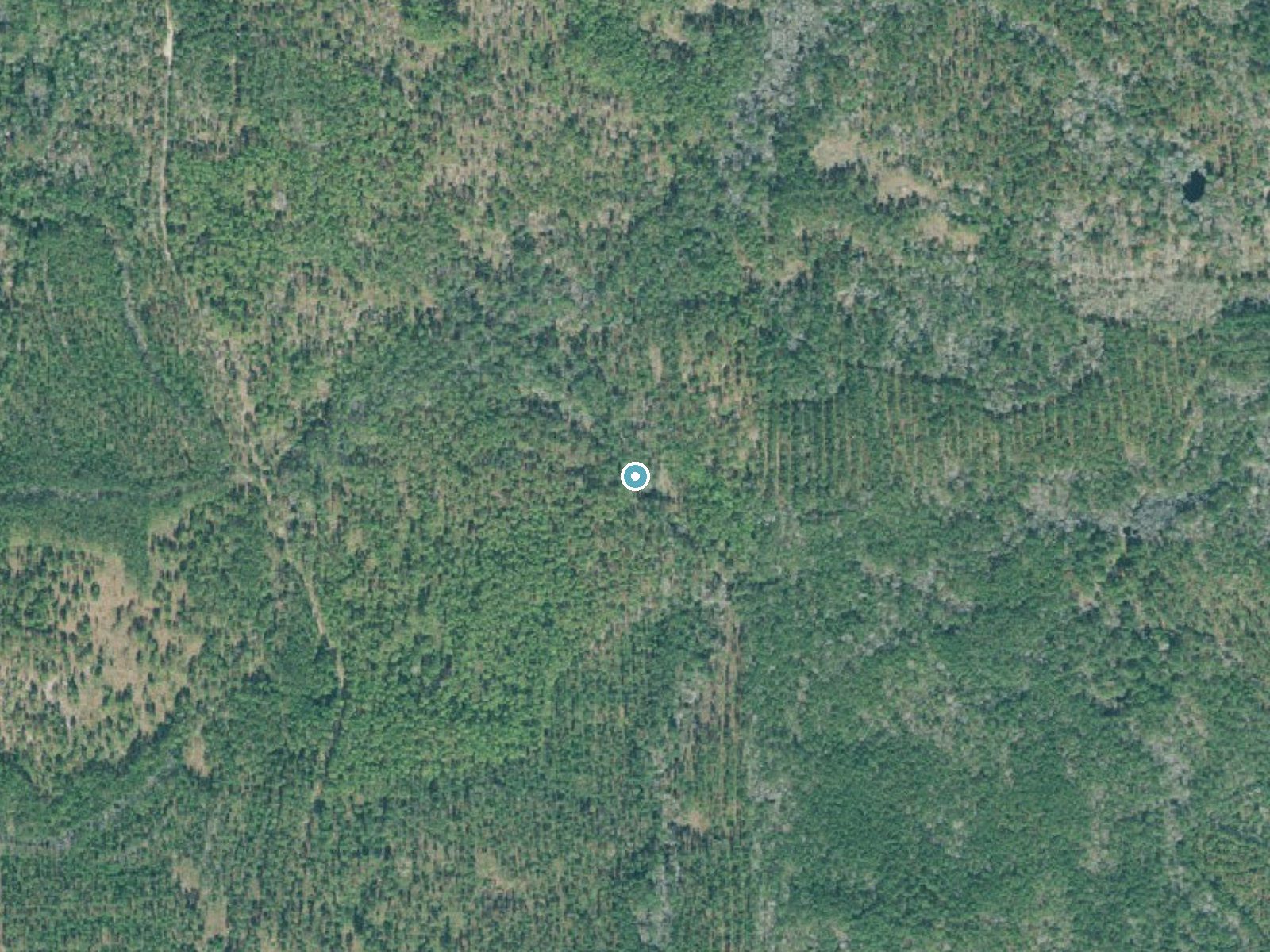 Aerial photo of the same ground around Rock Falls near Broxton, Georgia, for comparison with the lidar view