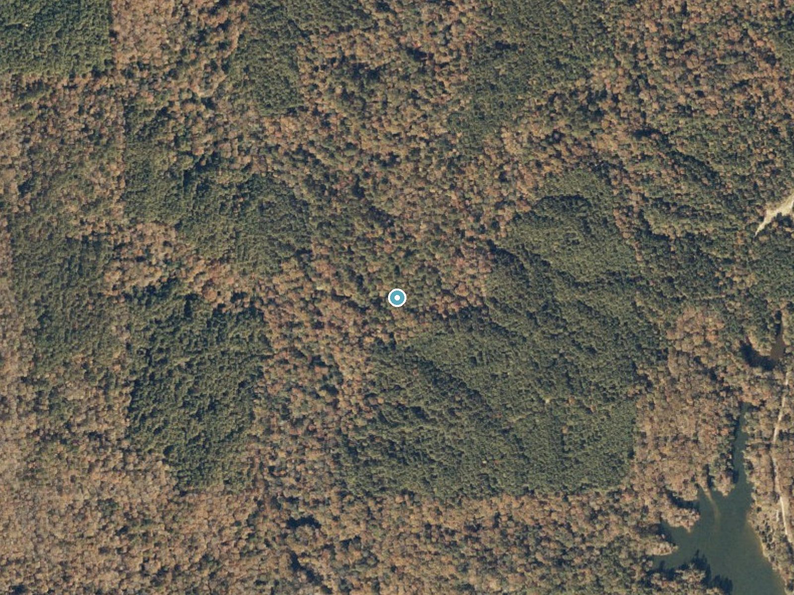 Aerial photo of the same ground around Scutchalo Falls near Utica, Mississippi, for comparison with the lidar view