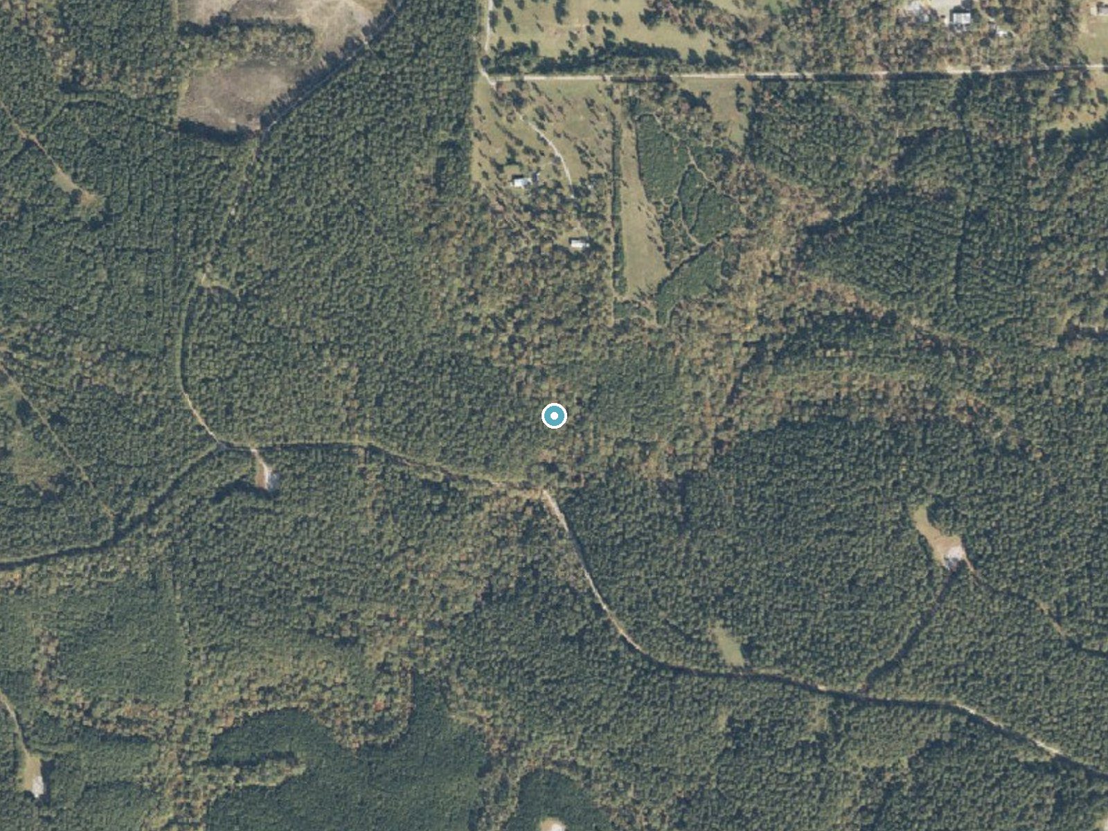 Aerial photo of the same ground around Weaver Falls near Pea Ridge, Alabama, for comparison with the lidar view