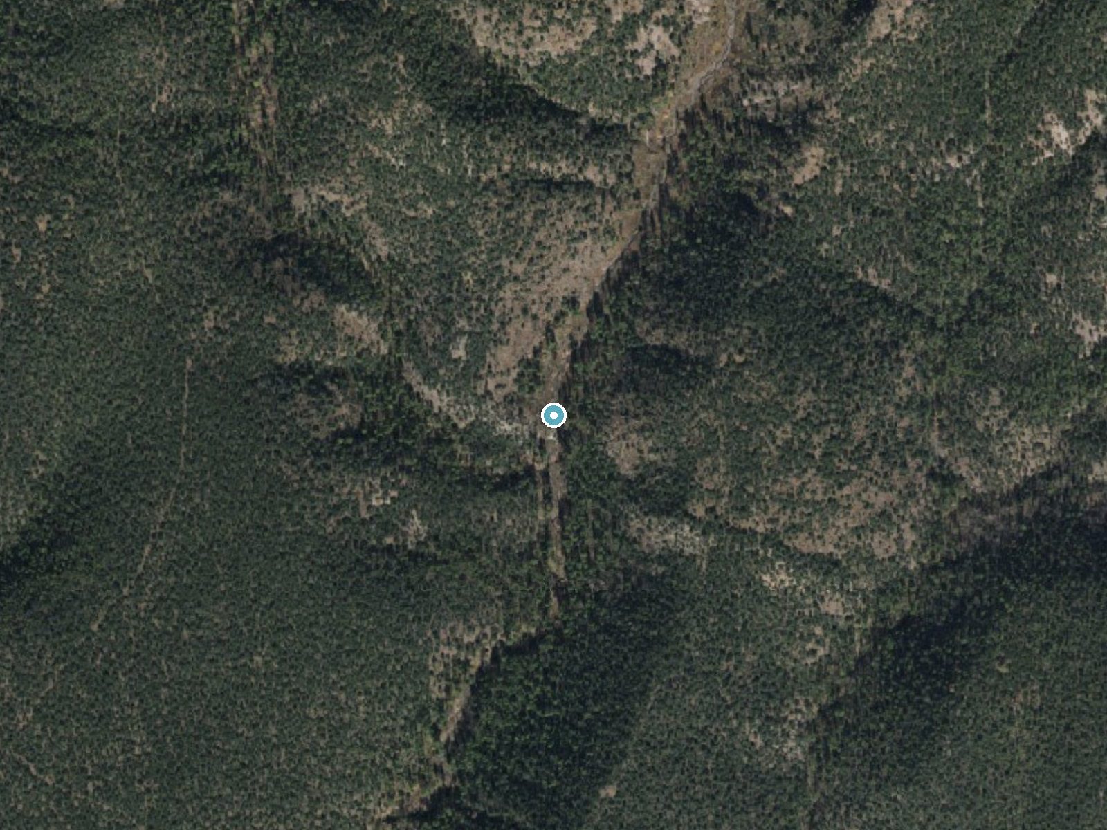 Aerial view of the ground around Chitty Falls near Alpine, Arizona