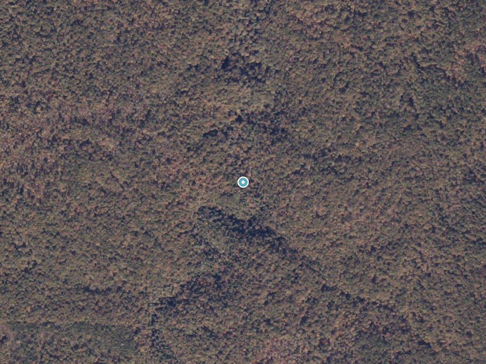 Aerial photo of the same ground around Parker Cascades near Haleyville, Alabama, for comparison with the lidar view
