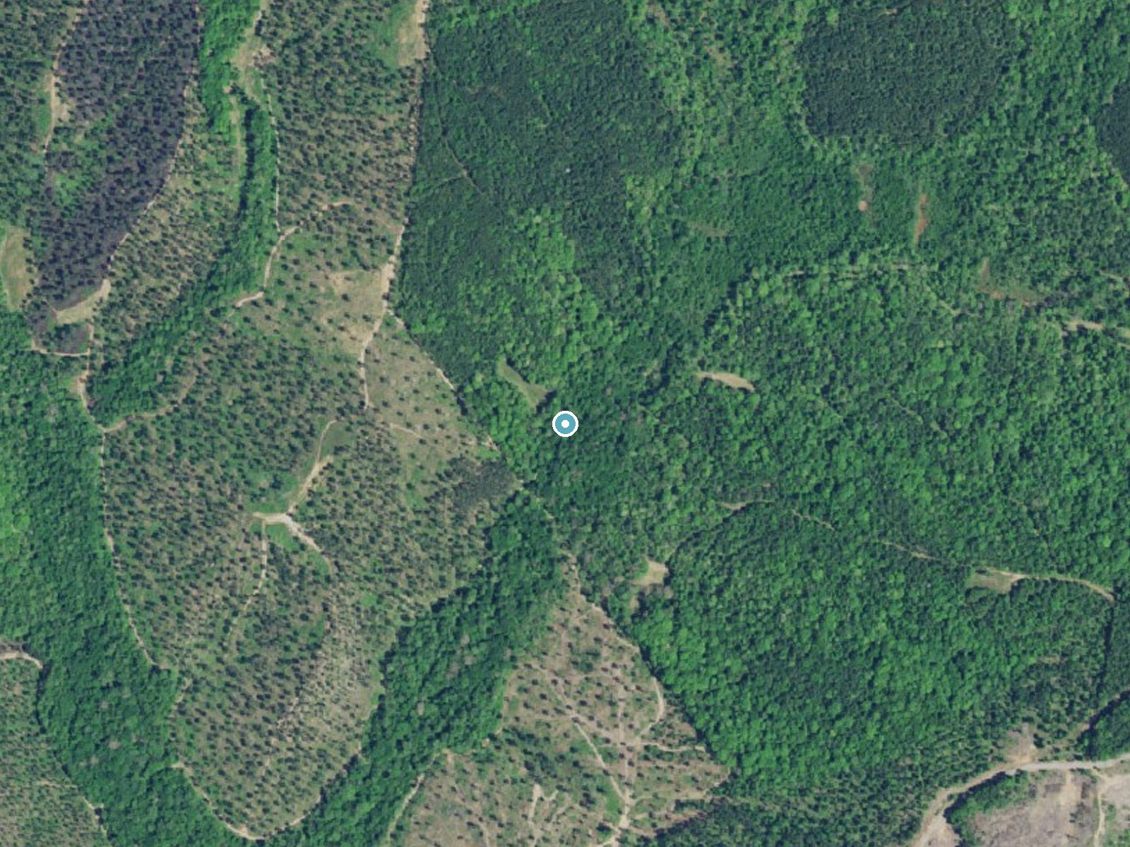 Aerial photo of the same ground around Cedar Falls near Heath Springs, South Carolina, for comparison with the lidar view