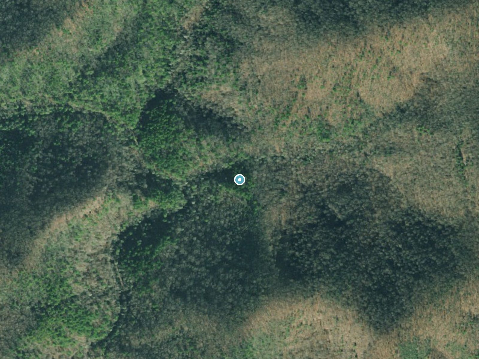 Aerial photo of the same ground around Noontootla Falls near Morganton, Georgia, for comparison with the lidar view