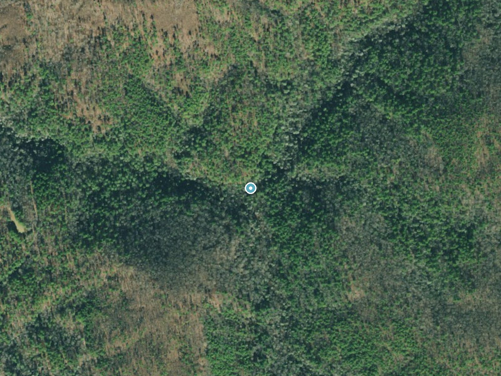 Aerial photo of the same ground around High Falls near Morganton, Georgia, for comparison with the lidar view