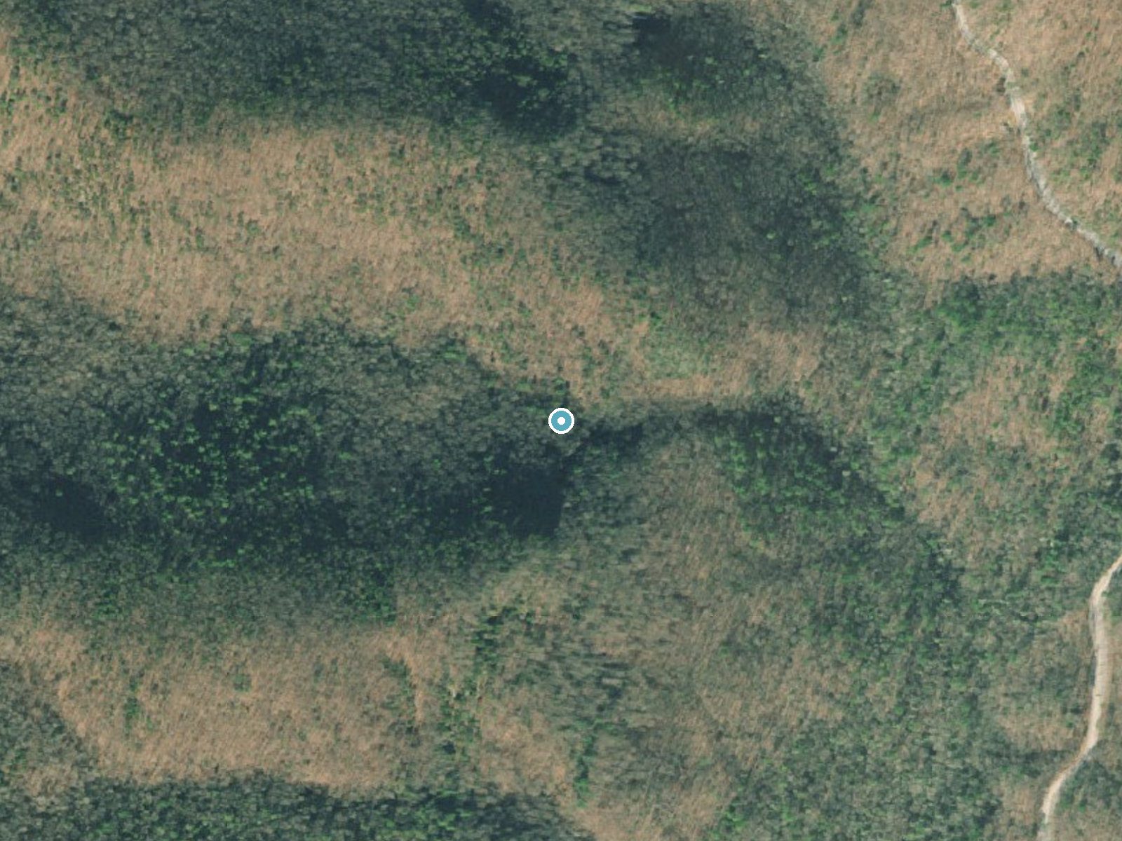 Aerial photo of the same ground around DeSoto Falls near Helen, Georgia, for comparison with the lidar view