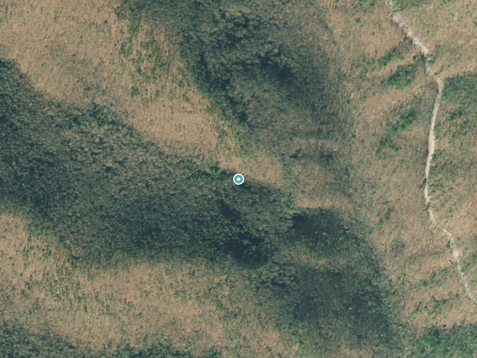 Aerial photo of the same ground around High Water Falls near Blairsville, Georgia, for comparison with the lidar view