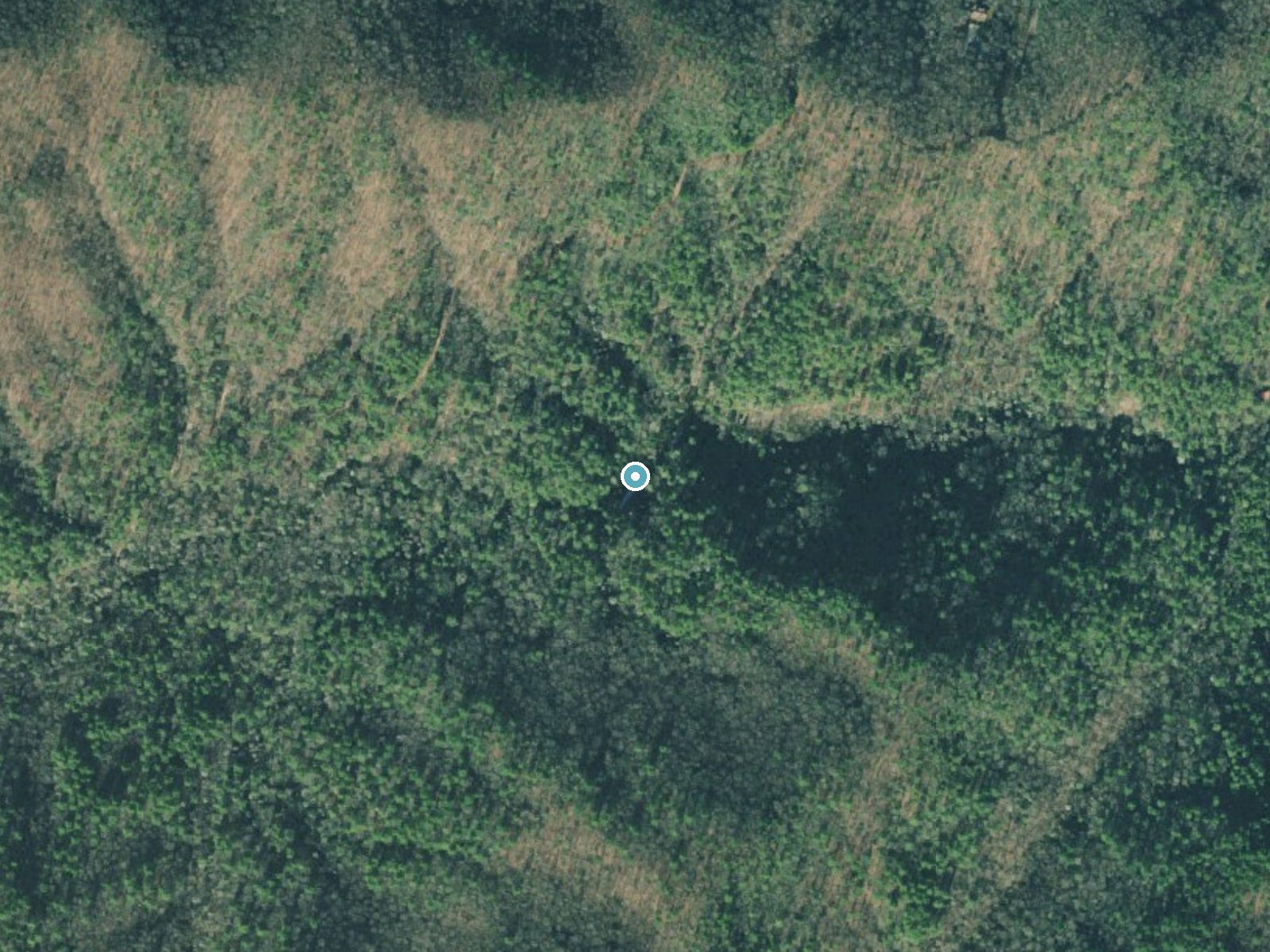 Aerial photo of the same ground around Helton Creek Falls near Blairsville, Georgia, for comparison with the lidar view