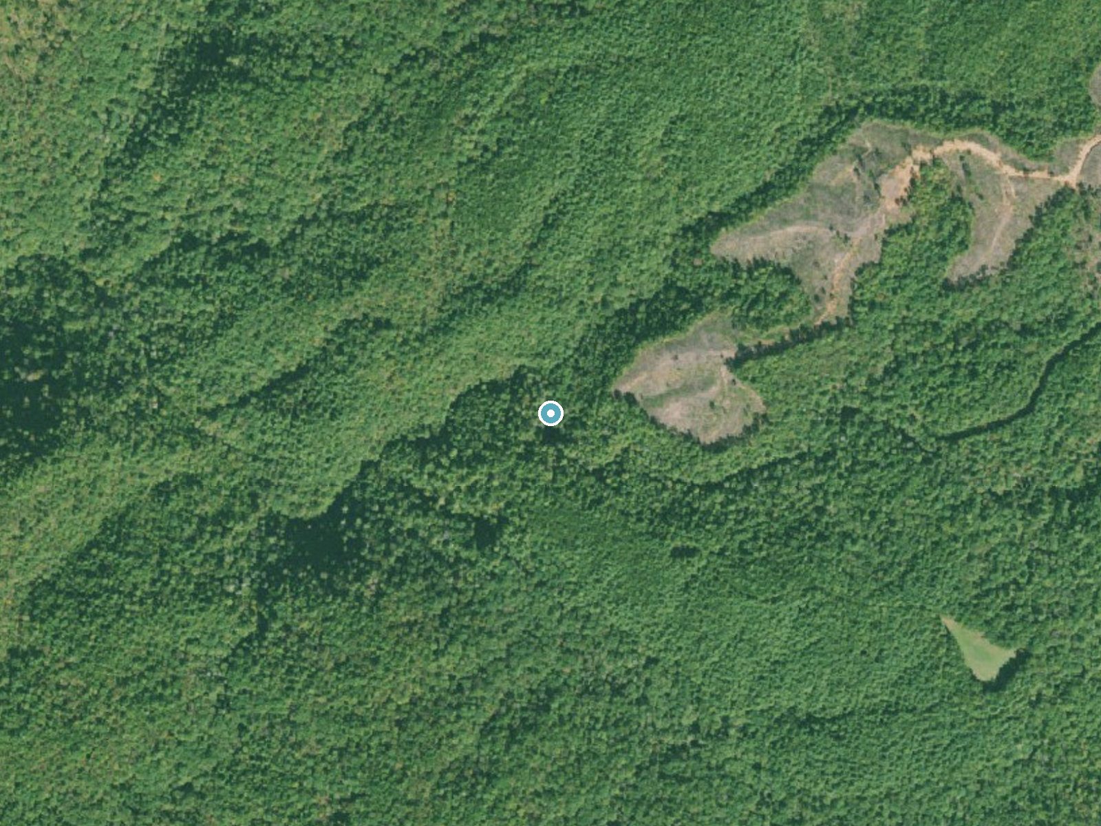 Aerial photo of the same ground around Sids Falls near Longcreek, South Carolina, for comparison with the lidar view