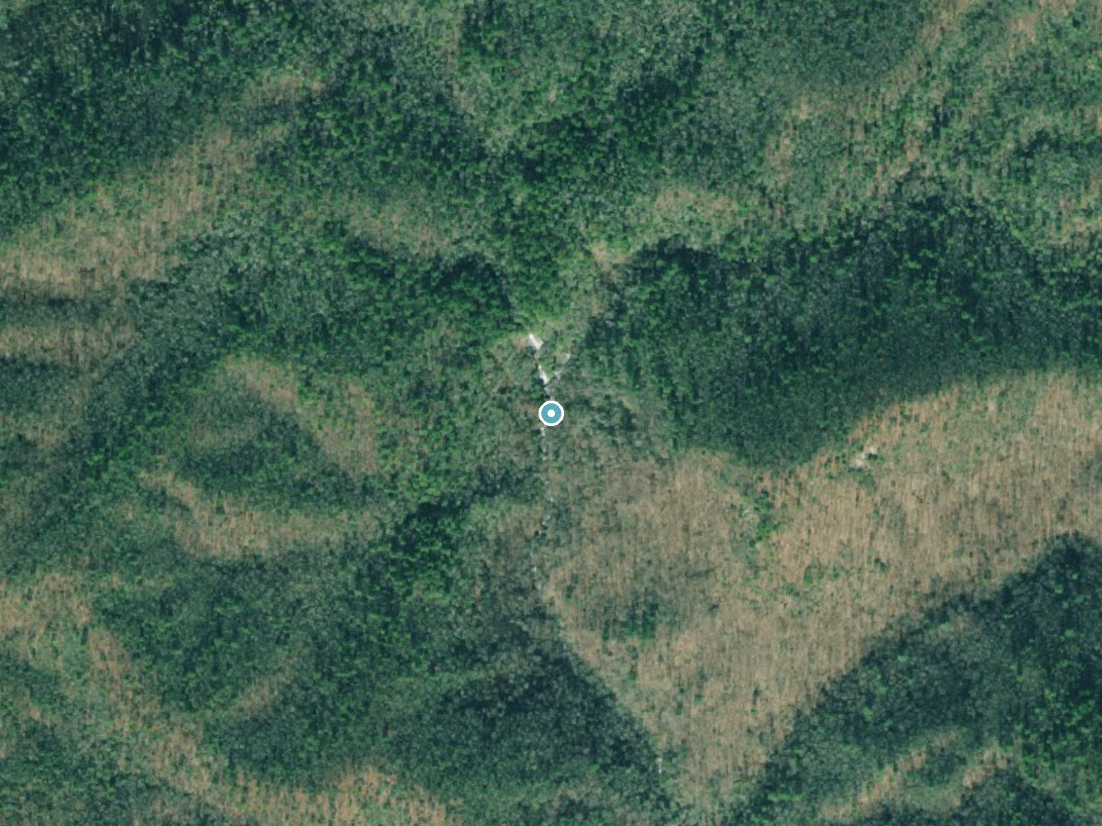 Aerial photo of the same ground around Anna Ruby Falls near Helen, Georgia, for comparison with the lidar view