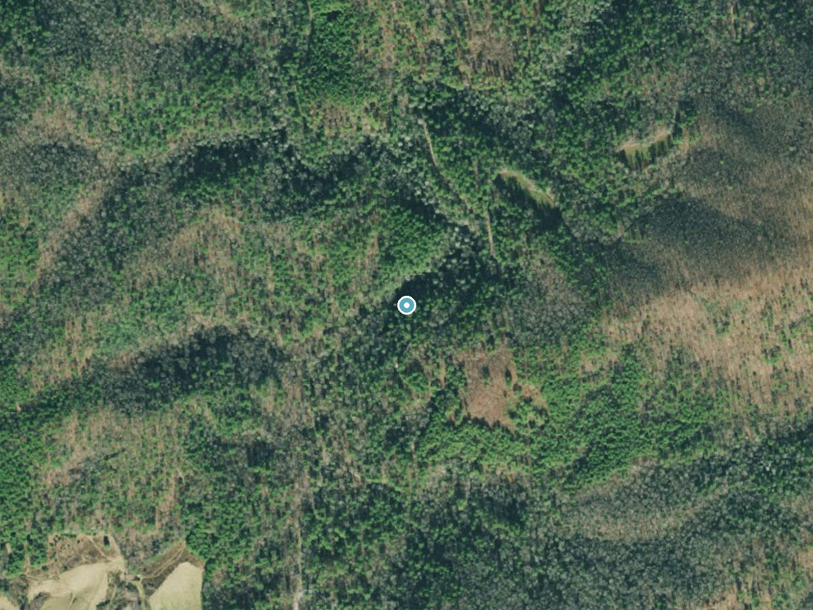 Aerial photo of the same ground around Sea Creek Falls near Blairsville, Georgia, for comparison with the lidar view