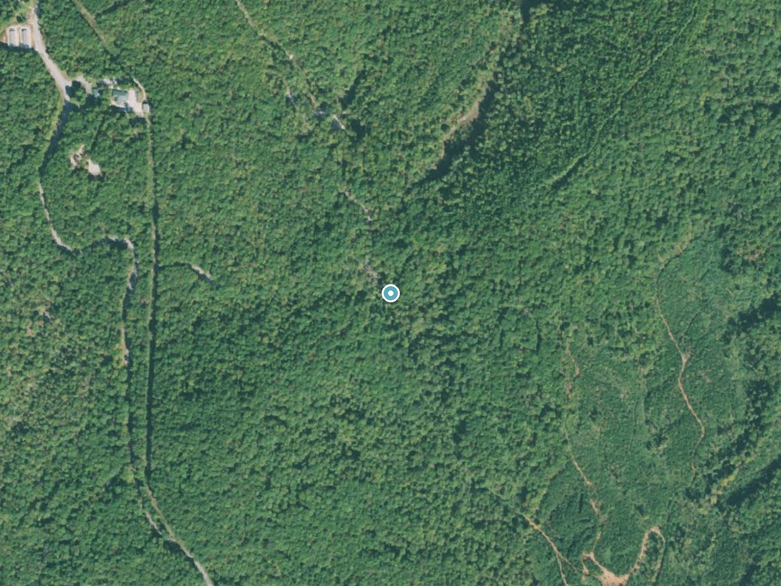 Aerial photo of the same ground around Isaqueena Falls near Walhalla, South Carolina, for comparison with the lidar view