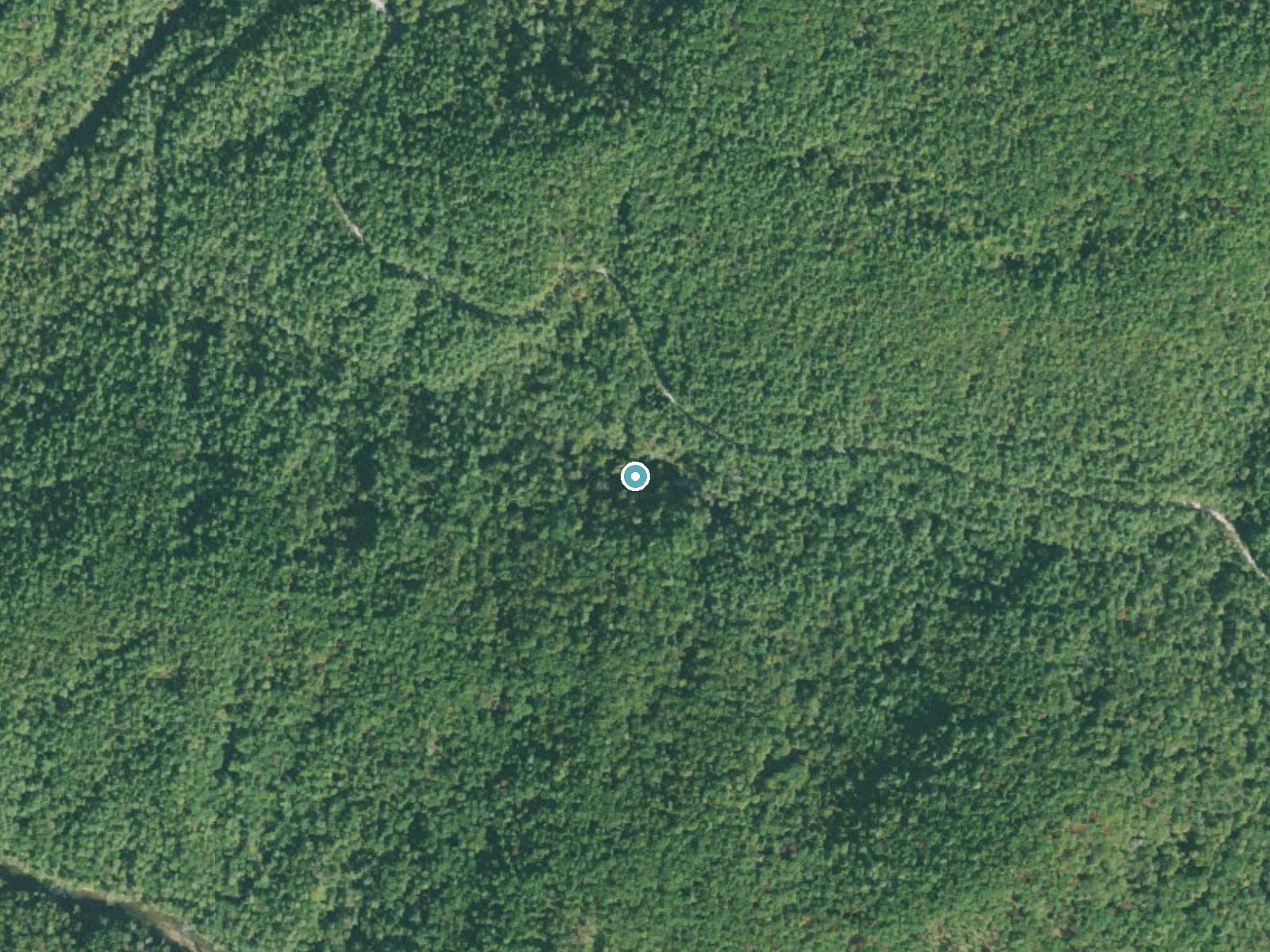 Aerial photo of the same ground around Kings Creek Falls near Cashiers, South Carolina, for comparison with the lidar view