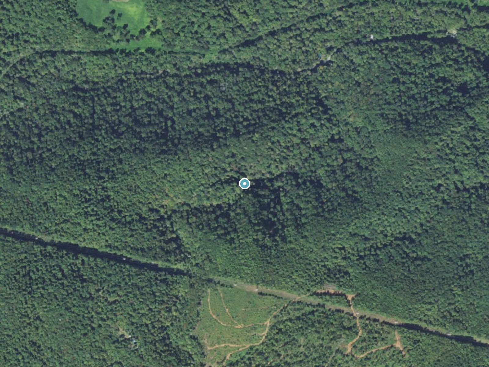 Aerial photo of the same ground around Pearsons Falls near Saluda, North Carolina, for comparison with the lidar view