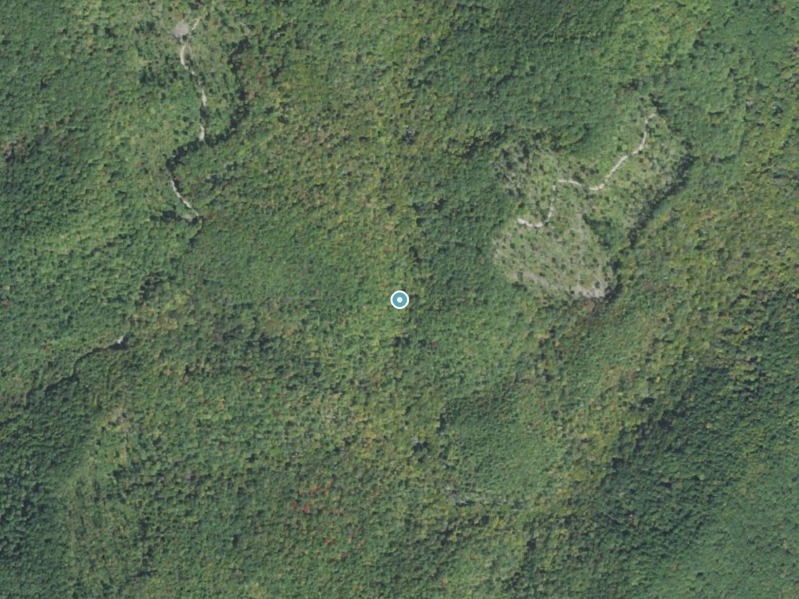 Aerial photo of the same ground around Dill Falls near Brevard, North Carolina, for comparison with the lidar view