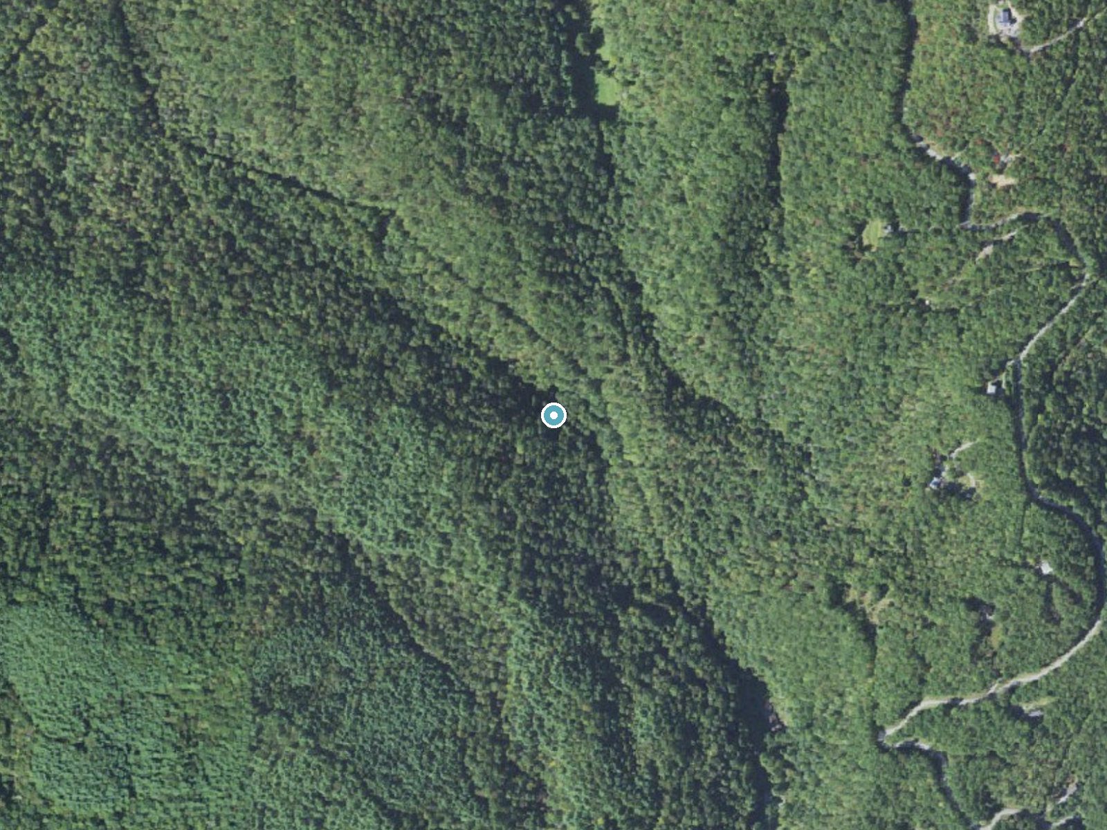 Aerial photo of the same ground around Laughing Falls near Brevard, North Carolina, for comparison with the lidar view
