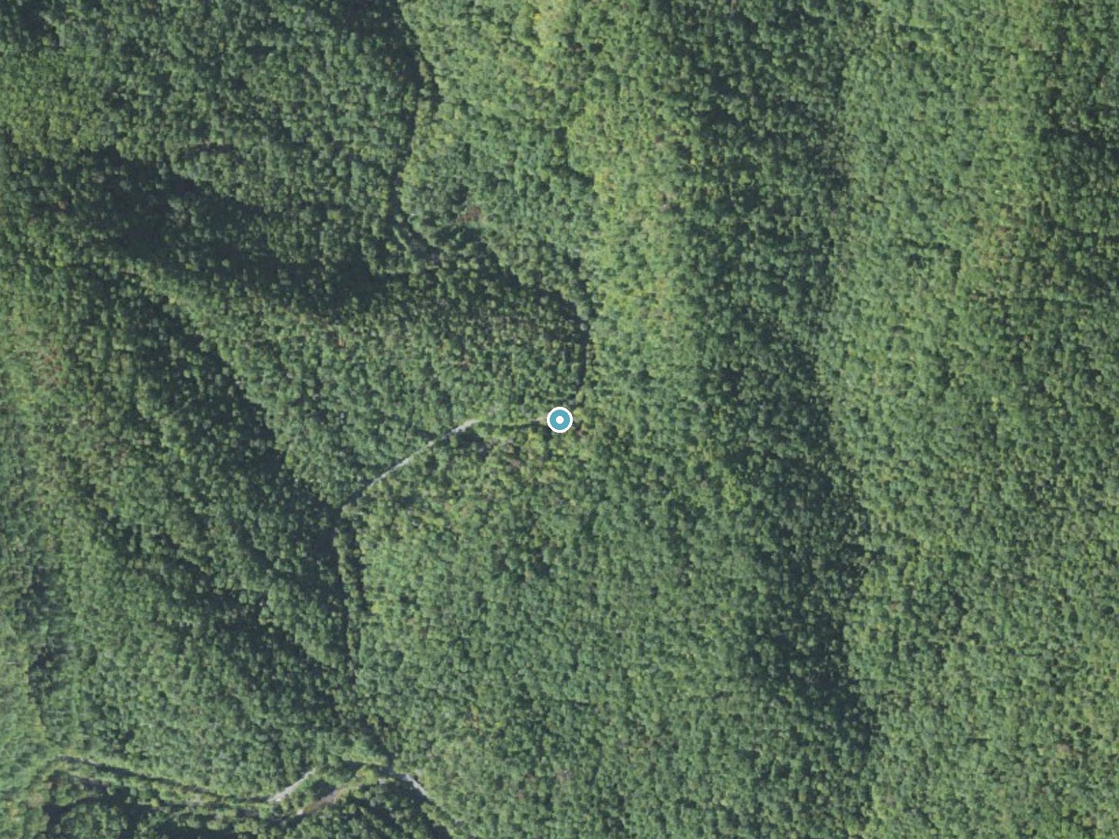 Aerial photo of the same ground around Looking Glass Falls near Brevard, North Carolina, for comparison with the lidar view