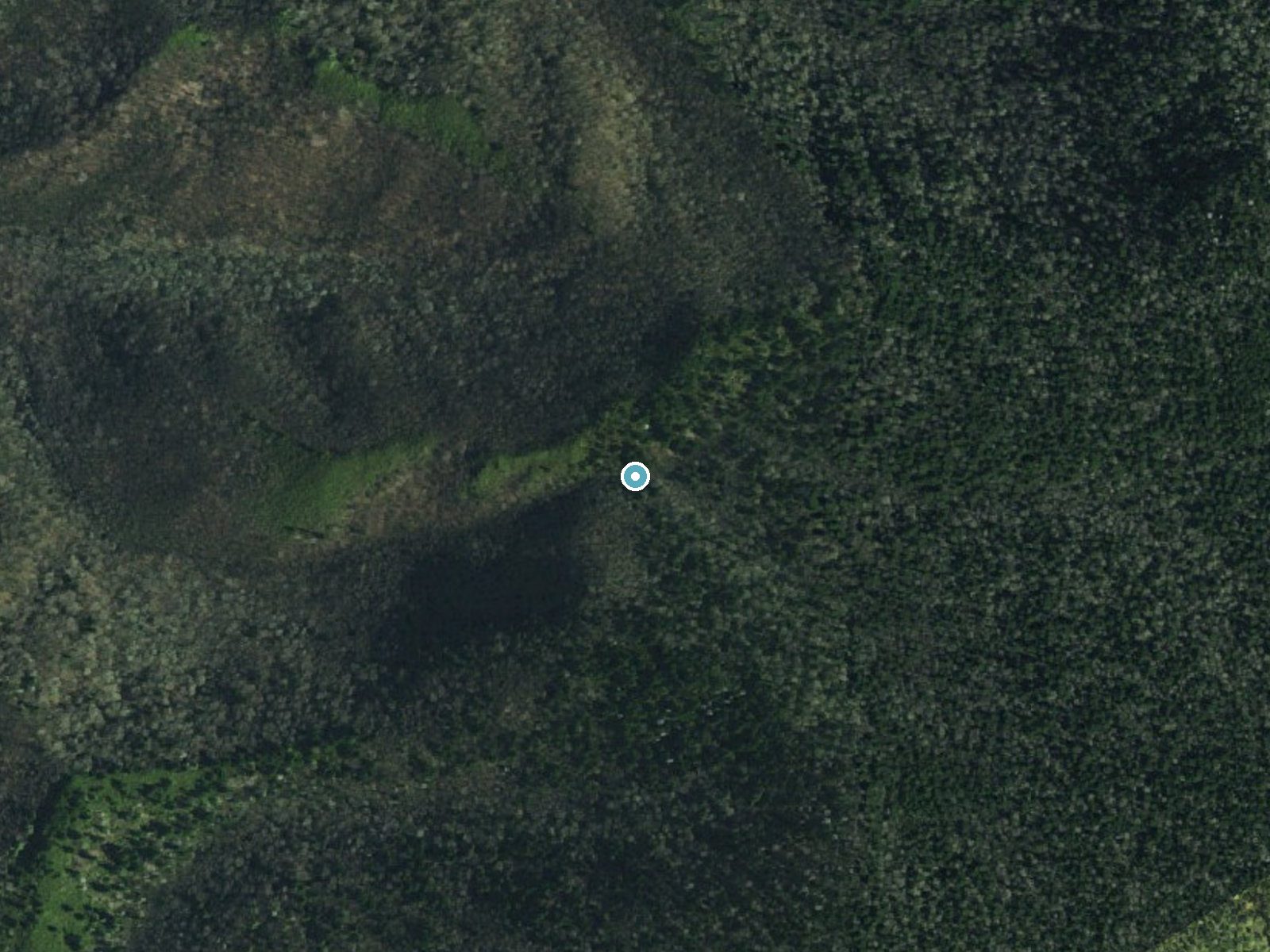 Aerial photo of the same ground around Wilson Falls near Gatlinburg, Tennessee, for comparison with the lidar view