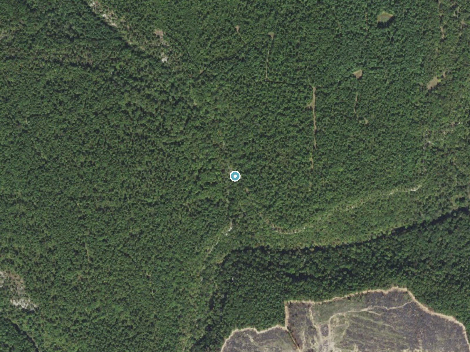 Aerial photo of the same ground around Bailey Falls near Concord, Arkansas, for comparison with the lidar view