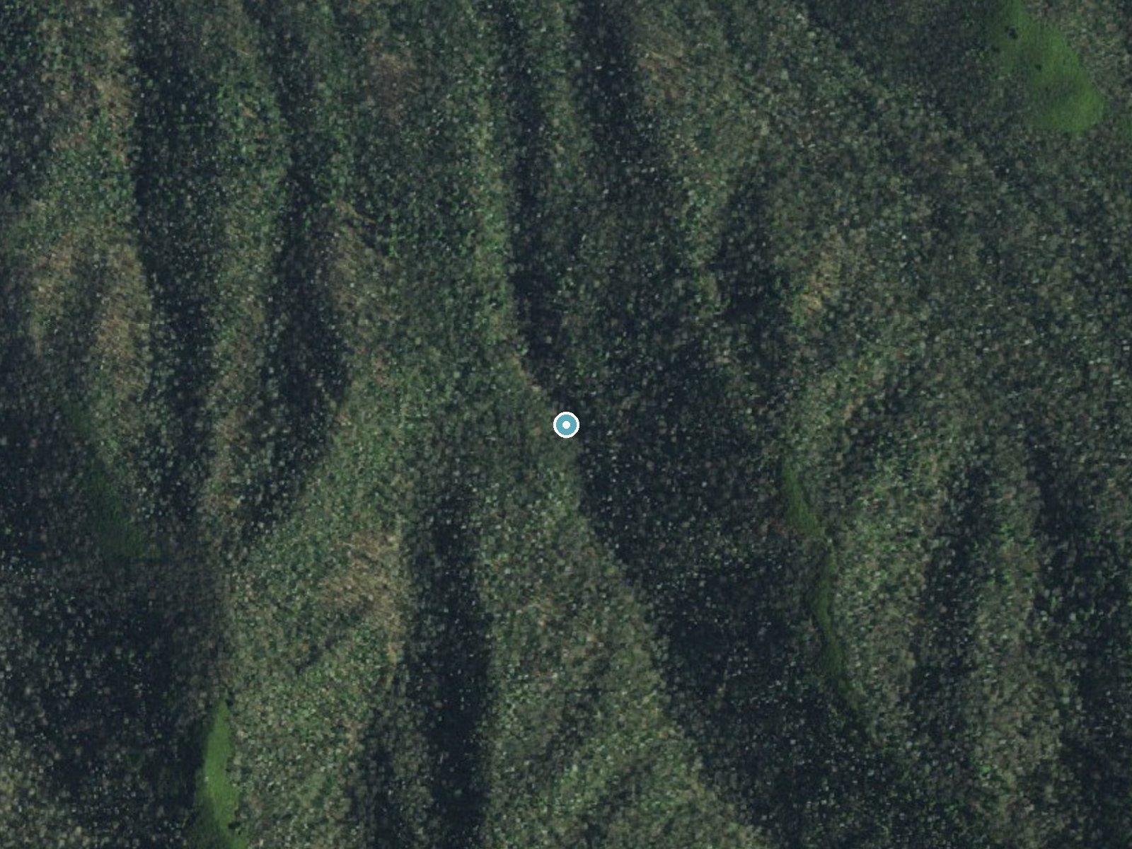 Aerial photo of the same ground around Grotto Falls near Gatlinburg, Tennessee, for comparison with the lidar view