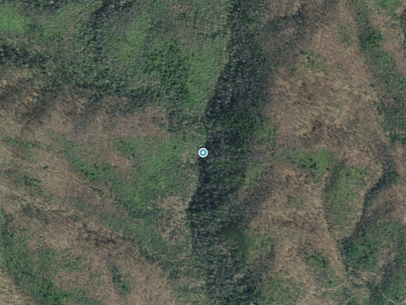 Aerial photo of the same ground around Laurel Falls near Gatlinburg, Tennessee, for comparison with the lidar view
