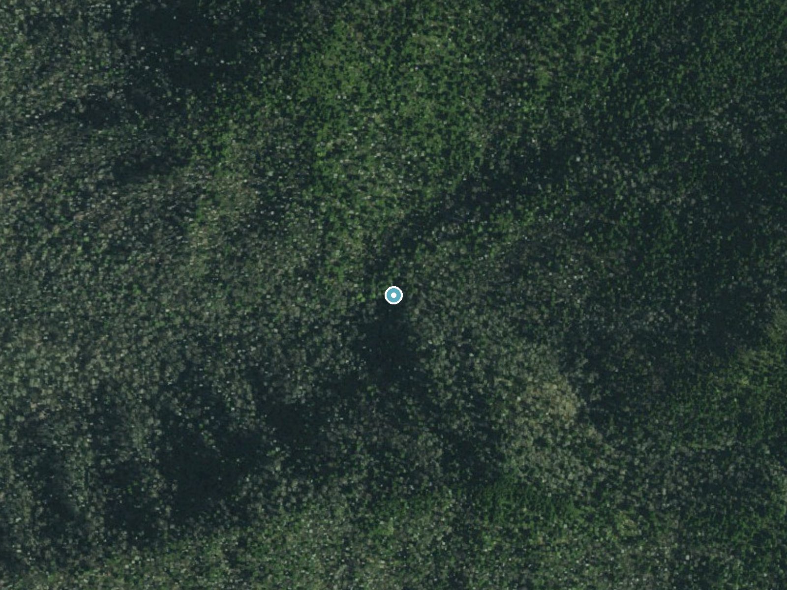 Aerial photo of the same ground around Ramsey Cascades near Pittman Center, Tennessee, for comparison with the lidar view