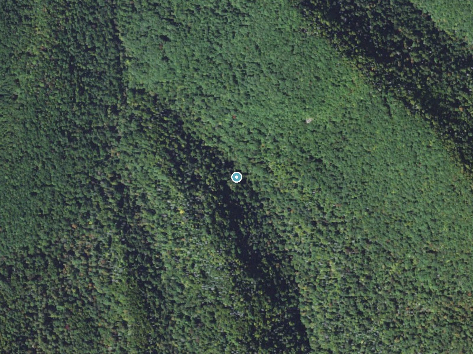 Aerial photo of the same ground around Douglas Falk near Barnardsville, North Carolina, for comparison with the lidar view