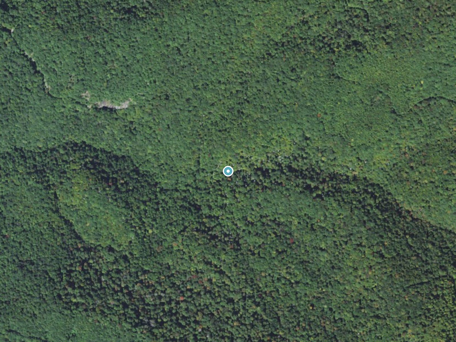 Aerial photo of the same ground around Walker Falls near Barnardsville, North Carolina, for comparison with the lidar view