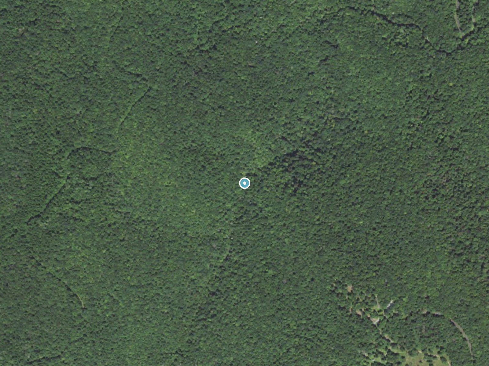 Aerial photo of the same ground around Upper Falls near Spruce Pine, North Carolina, for comparison with the lidar view
