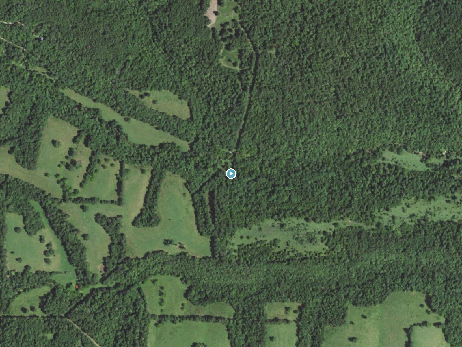 Aerial photo of the same ground around Lay Falls near Gilbert, Arkansas, for comparison with the lidar view