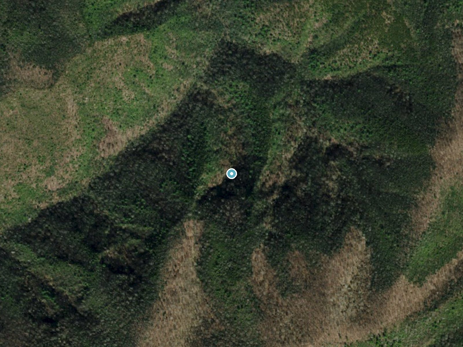 Aerial photo of the same ground around Buckeye Falls near Banner Hill, Tennessee, for comparison with the lidar view