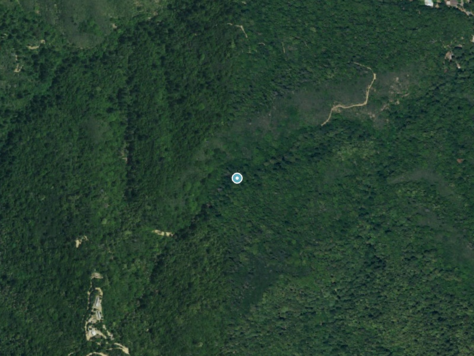 Aerial photo of the same ground around Triple Falls near Corralitos, California, for comparison with the lidar view