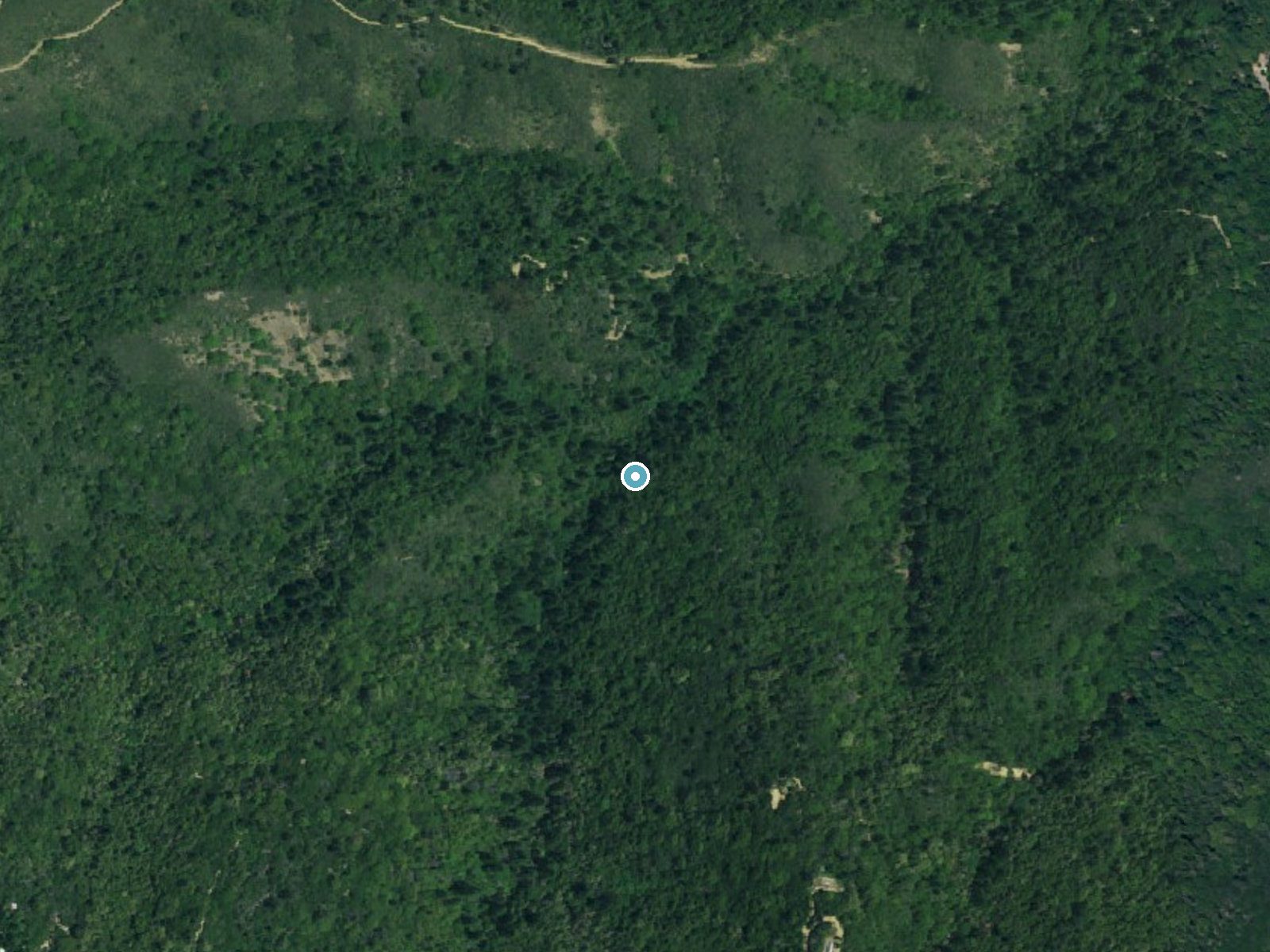 Aerial photo of the same ground around Upper Falls near Corralitos, California, for comparison with the lidar view