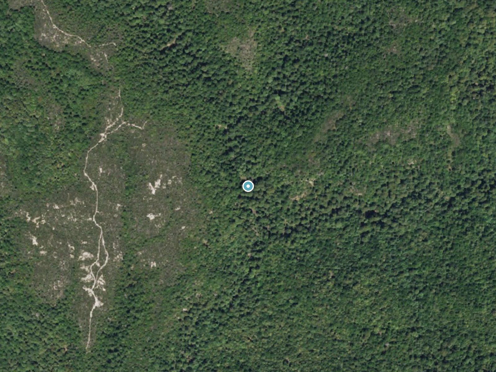 Aerial photo of the same ground around Berry Creek Falls near Loma Mar, California, for comparison with the lidar view
